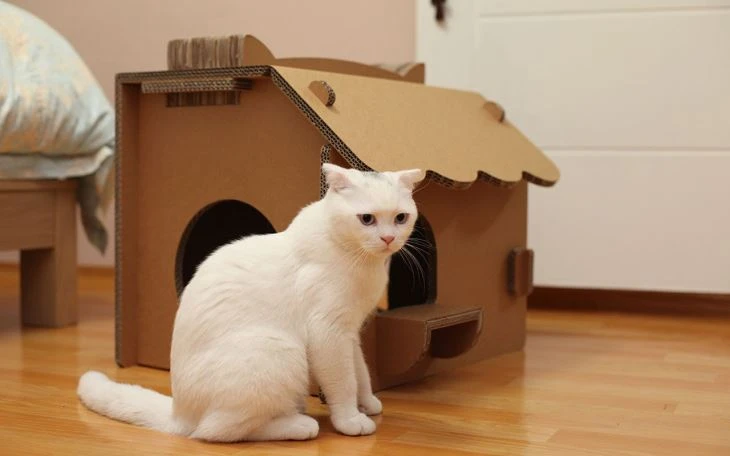 Ръчно изработена кучешка котка Comfort Comfort